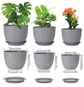 Plant pots, New