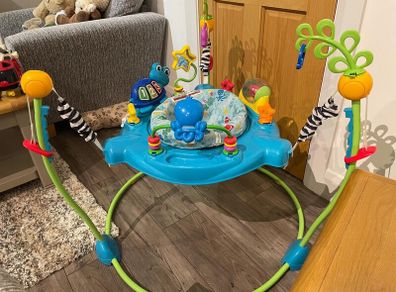 Baby Einstein jumper