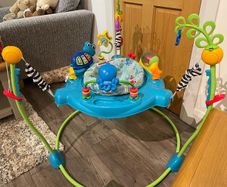 Baby Einstein jumper