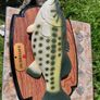 Singing fish Image 5