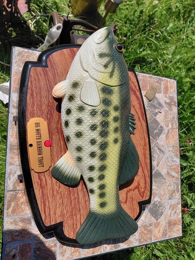 Singing fish