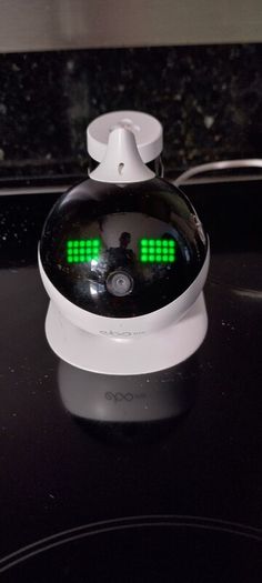 EBO Robot friend for cats.