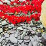 Icy blue stones, cobbles, pebbles, chippings Image 4