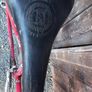 Vintage racing Bike Gitane GSF 710 Image 6