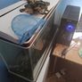 Fish Tank and accessories Image 5