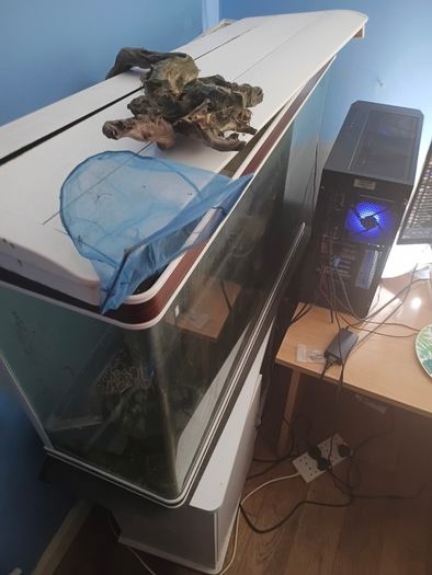 Fish Tank and accessories
