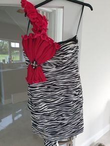 ladies dress