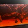 Fish Tank Fluval Rio 240 Image 2