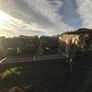 Cattle Image 4
