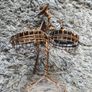 John Flavius and Alfred Weekes wire statue ornament Image 2