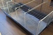 rabbit, cage