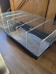 rabbit, cage
