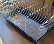 rabbit, cage
