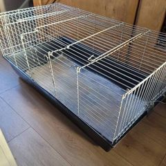 rabbit, cage
