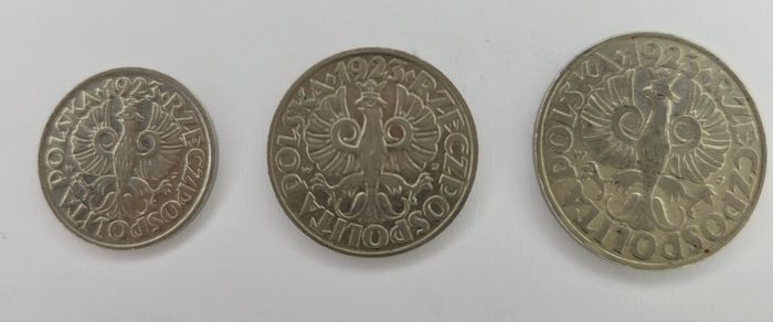 Poland coins 10 , 20 , 50 groszy and 1 zloty lot 1923 -1929