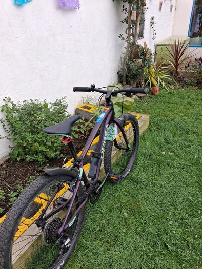 Mountain Bike - Orbea Mx24 Dirt