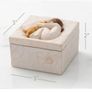 Willow Tree Trinket Box " Truly A Friend " Image 3