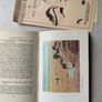 Rare irish book, An Irish Sanctuary, Birds of the North Bull, Dollymount, Howth, Sutton Image 10