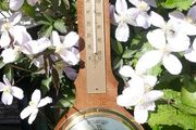 Vintage Motiv Barometer