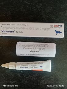 dog cyclosporine eye ointment (optimmune)