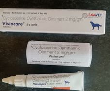 dog cyclosporine eye ointment (optimmune)