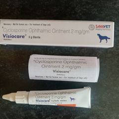 dog cyclosporine eye ointment (optimmune)