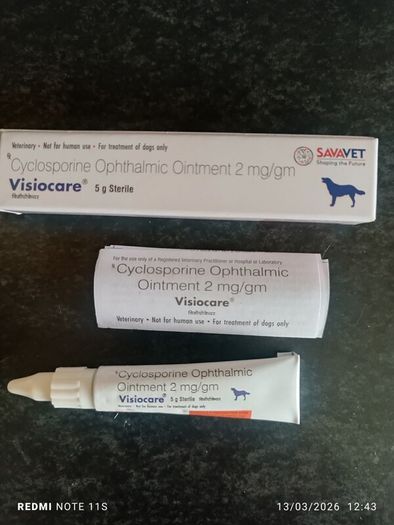 dog cyclosporine eye ointment (optimmune)
