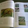 The Royal Horticultural Society Encyclopedia of Gardening Image 9