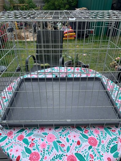 Dog Cage
