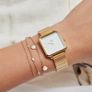 New Cluse Watch Image 3