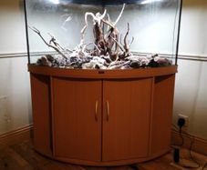Two Beautiful Fish Aquariums A JEWEL Rio 180 and a JEWEL Trigon 350