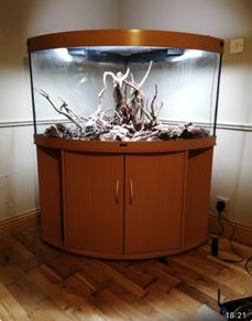 Two Beautiful Fish Aquariums A JEWEL Rio 180 and a JEWEL Trigon 350