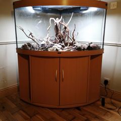 Two Beautiful Fish Aquariums A JEWEL Rio 180 and a JEWEL Trigon 350