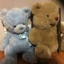 Teddy bears Image 2