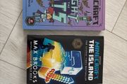 Minecraft Books x 2