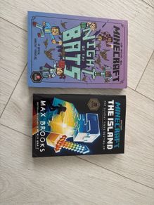 Minecraft Books x 2