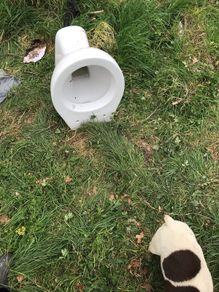 Toilet