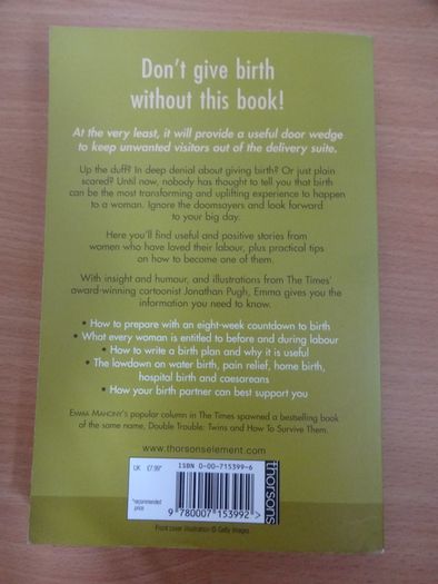 Stand and Deliver!: And Other Brilliant Ways to Give Birth (Emma Mahony)