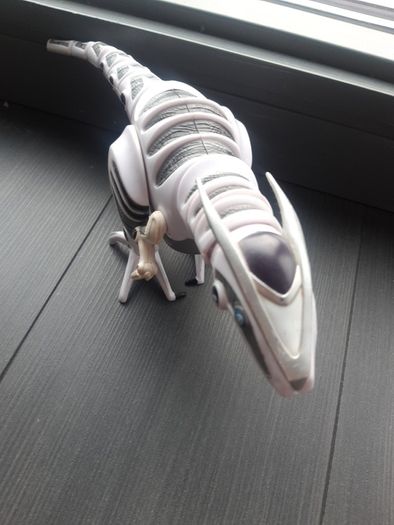 Robo Dinosaur white and grey@"