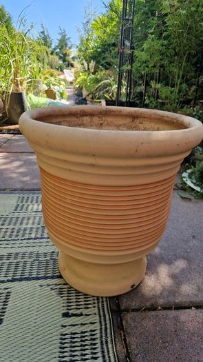 Terracotta urns
