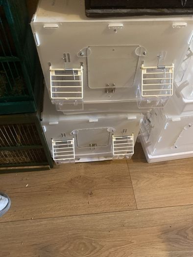 bird cages , travel and mule