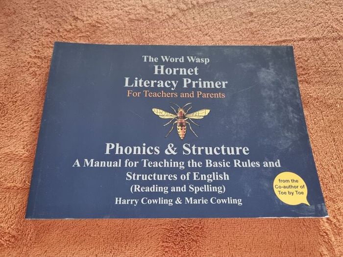 The Hornet Literacy Primer dyslexia program