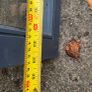 Alu-Clad Double Glazed Window sash only Image 5