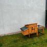 chicken coop/rabbit hutch Image 3