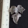 Beau brooch Image 4