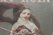 My Ruin CD - The Brutal Language