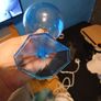 bombay sapphire Image 5