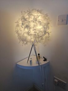 Feather lamp