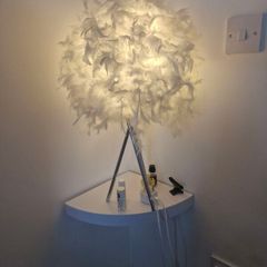 Feather lamp