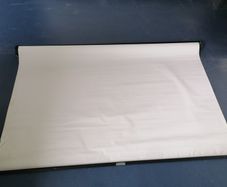 Projector Screen FREE